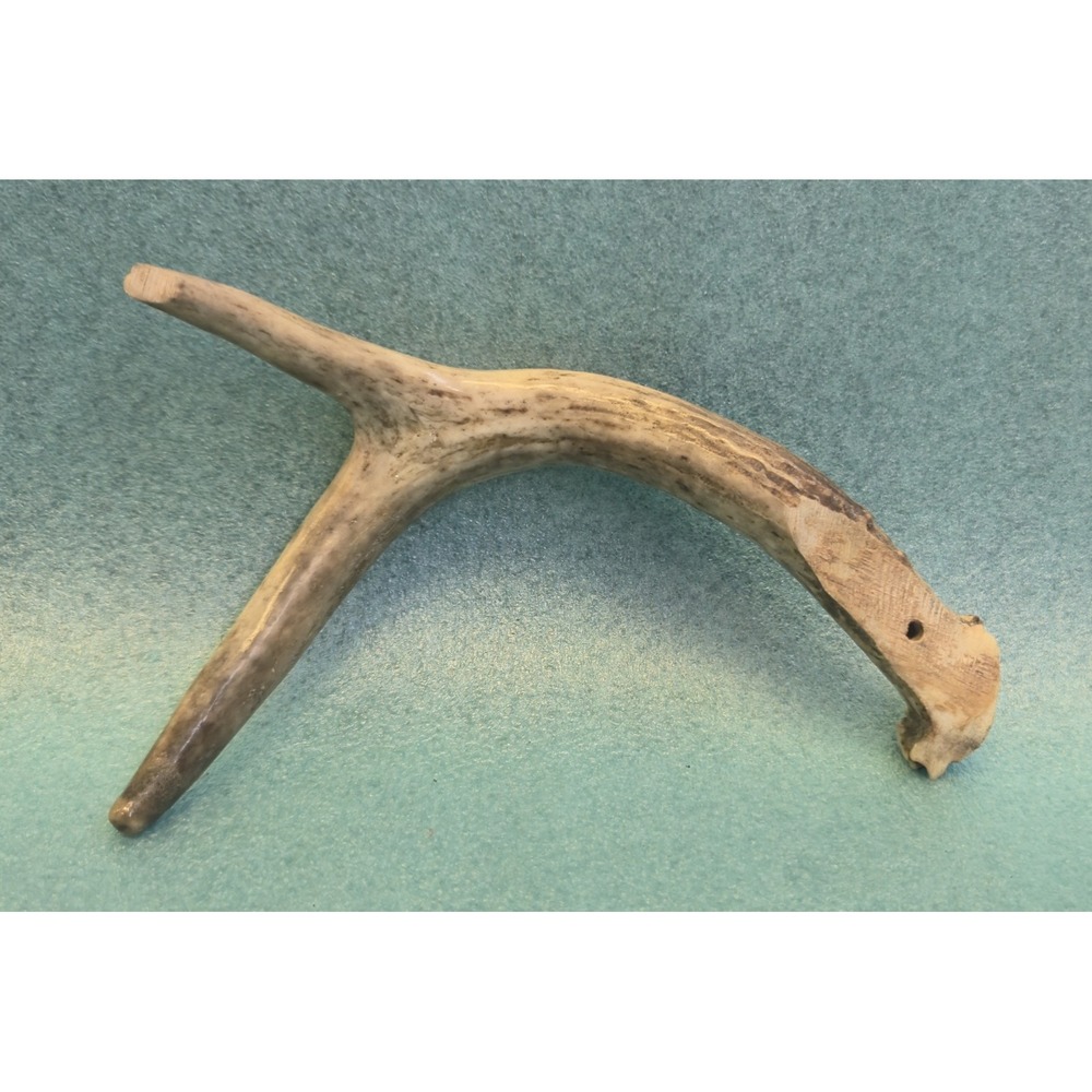 Genuine Deer Antler Cabinet Handle Drawer Pull Rustic Lodge Cabin Decor 7"